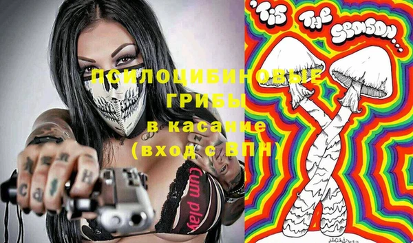 тгк Гусиноозёрск