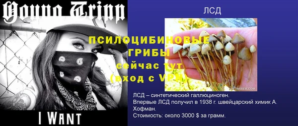 герыч Гусь-Хрустальный